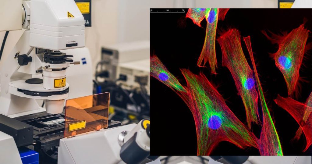 What is Microscopy? A Technical Microscopy Guide 5 What is Microscopy? A Technical Microscopy Guide 4